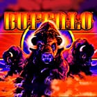 Buffalo screenshot