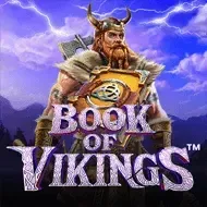 Book of Vikings screenshot
